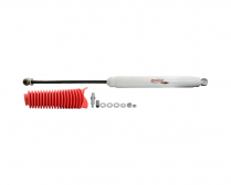 RS55036
