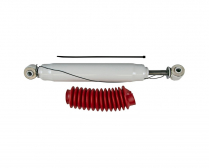 RS55054