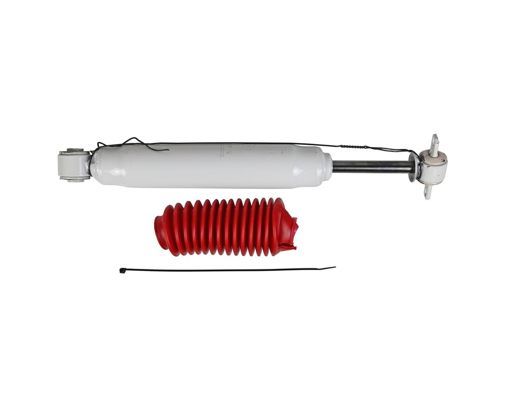 RS55299