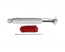 RS55299