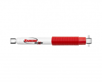 RS55325