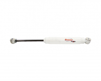 RS55379