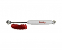 RS55395