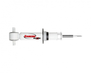 RS55838