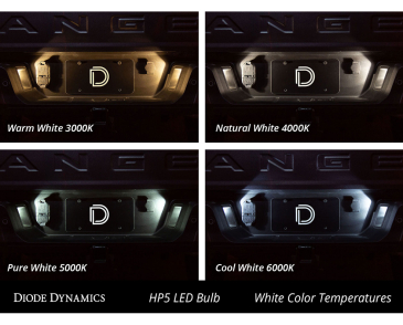 Diode Dynamics 194 LED Bulb HP5 LED, Amber, Pair